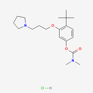 Carbamic acid, dimethyl-, 4-(1,1-dimethylethyl)-3-(3-(1-pyrrolidinyl)propoxy)phenyl ester, monohydrochloride