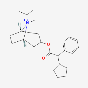 Ciclotropium