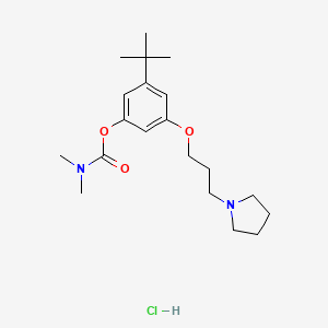 Carbamic acid, dimethyl-, 5-(1,1-dimethylethyl)-3-(2-(1-pyrrolidinyl)propoxy)phenyl ester, monohydrochloride