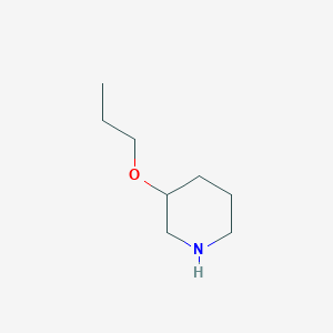molecular formula C8H17NO B1275163 3-丙氧基哌啶 CAS No. 89122-72-5