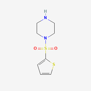 molecular formula C8H12N2O2S2 B1275707 1-(噻吩-2-基磺酰基)哌嗪 CAS No. 565178-12-3