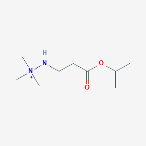 molecular formula C9H21N2O2+ B12757433 Ces2BW79KR CAS No. 1093163-98-4