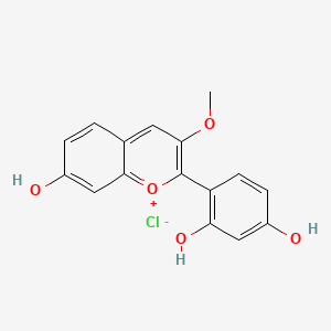 1-Benzopyrylium, 2-(2,4-dihydroxyphenyl)-7-hydroxy-3-methoxy-, chloride