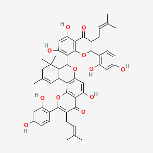 molecular formula C50H48O12 B12763685 Kuwanon M CAS No. 85802-38-6