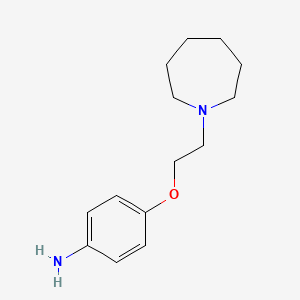 molecular formula C14H22N2O B1276557 4-(2-Azepan-1-yl-ethoxy)-phenylamine CAS No. 869948-07-2