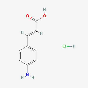 molecular formula C9H10ClNO2 B1277147 4-Aminocinnamic acid hydrochloride CAS No. 54057-95-3