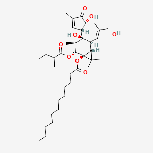 molecular formula C37H58O8 B12772605 12-O-(2-Methylbutyroyl)phorbol-13-dodecanoate CAS No. 250268-59-8