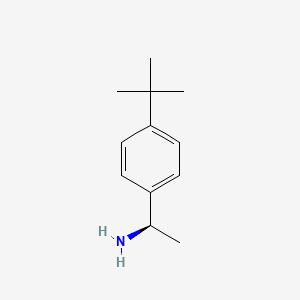 molecular formula C12H19N B1277275 (R)-1-(4-叔丁基苯基)乙胺 CAS No. 511256-38-5