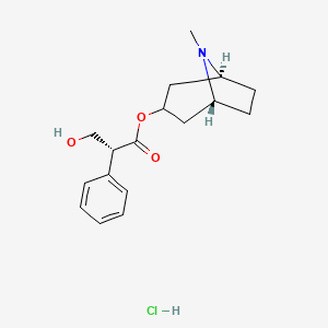 molecular formula C17H24ClNO3 B12776017 Hyoscyamine hydrochloride, (+)- CAS No. 55-47-0