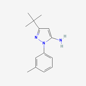 molecular formula C14H19N3 B1277756 3-(叔丁基)-1-(间甲苯基)-1H-吡唑-5-胺 CAS No. 898537-77-4