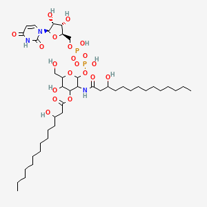 UDP-2,3-di-ohm glcn