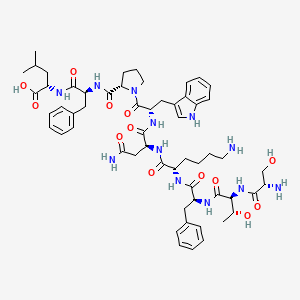 Peptide antigen SURA24