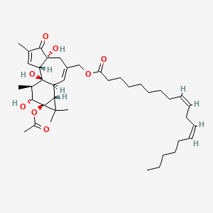 13-O-Acetylphorbol-20-(9Z,12Z)-octadecadienoate