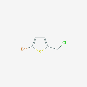 molecular formula C5H4BrClS B1279276 2-溴-5-(氯甲基)噻吩 CAS No. 7311-46-8