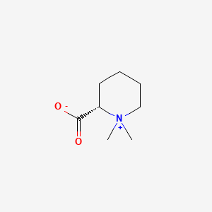 molecular formula C8H15NO2 B12793207 Homostachydrine CAS No. 472-22-0