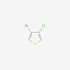 molecular formula C4H2BrClS B1280093 3-溴-4-氯噻吩 CAS No. 36155-88-1
