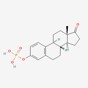 O3-Phosphonoestrone