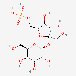 molecular formula C12H23O14P B12803973 Sucrose 6'-phosphate CAS No. 4549-10-4