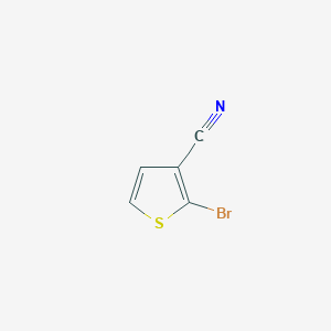 molecular formula C5H2BrNS B1280767 2-溴噻吩-3-腈 CAS No. 56182-43-5