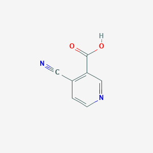 molecular formula C7H4N2O2 B1280877 4-氰基烟酸 CAS No. 827616-51-3