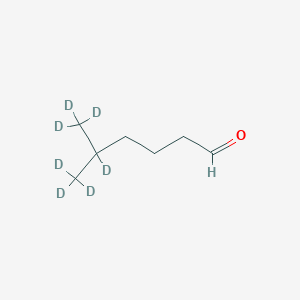 B128092 5-Methylhexanal-d7 CAS No. 947141-18-6