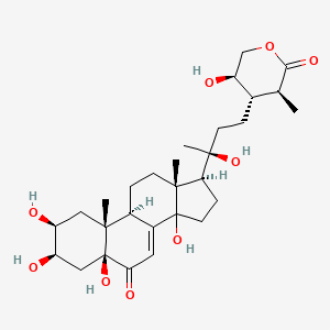 Sengosterone