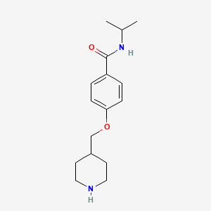 molecular formula C16H24N2O2 B12815573 N-Isopropyl-4-(piperidin-4-ylmethoxy)benzamide CAS No. 1306738-83-9