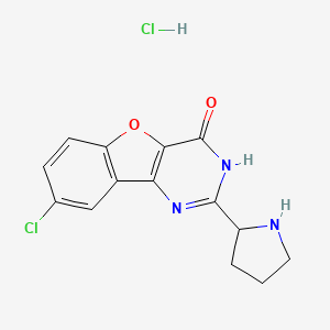 8-chloro-2-[(2S)-pyrrolidin-2-yl]-1H-[1]benzofuro[3,2-d]pyrimidin-4-one;hydrochloride