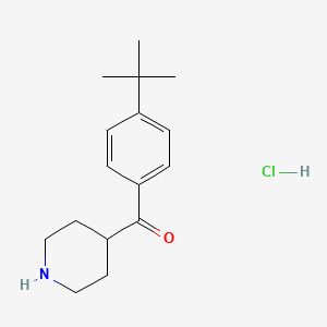 molecular formula C16H24ClNO B1282415 (4-(叔丁基)苯基)(哌啶-4-基)甲酮盐酸盐 CAS No. 42060-78-6