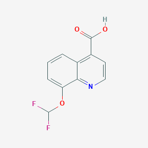 8-(Difluoromethoxy)quinoline-4-carboxylic acid