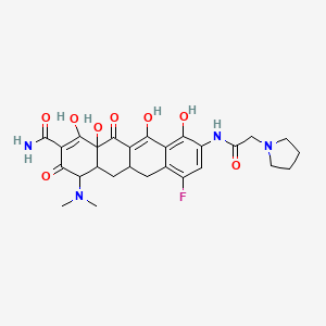 4-(dimethylamino)-7-fluoro-1,10,11,12a-tetrahydroxy-3,12-dioxo-9-[(2-pyrrolidin-1-ylacetyl)amino]-4a,5,5a,6-tetrahydro-4H-tetracene-2-carboxamide