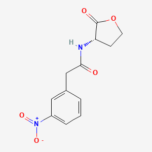 molecular formula C12H12N2O5 B12826134 (S)-2-(3-nitrophenyl)-N-(2-oxotetrahydrofuran-3-yl)acetamide 