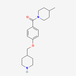 4-Methyl-1-[4-(piperidin-4-ylmethoxy)benzoyl]piperidine hydrochloride