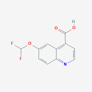 6-(Difluoromethoxy)quinoline-4-carboxylic acid