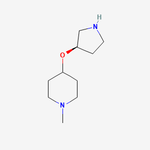 molecular formula C10H20N2O B12830347 (R)-1-Methyl-4-(pyrrolidin-3-yloxy)piperidine 