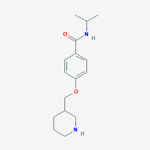 molecular formula C16H24N2O2 B12831563 N-Isopropyl-4-(piperidin-3-ylmethoxy)benzamide 