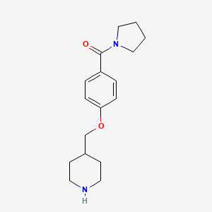 4-{[4-(Pyrrolidin-1-ylcarbonyl)phenoxy]methyl}piperidine hydrochloride