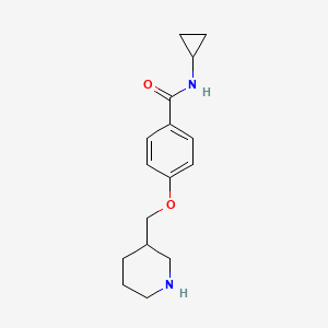 molecular formula C16H22N2O2 B12833519 N-cyclopropyl-4-(piperidin-3-ylmethoxy)benzamide 