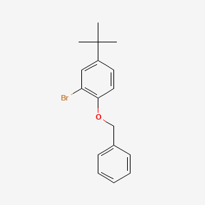 molecular formula C17H19BrO B1283412 1-苄氧基-2-溴-4-叔丁基苯 CAS No. 52458-11-4