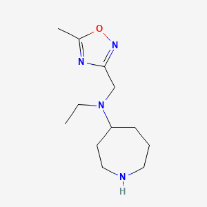 molecular formula C12H22N4O B12841630 N-Ethyl-N-((5-methyl-1,2,4-oxadiazol-3-yl)methyl)azepan-4-amine 