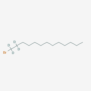 molecular formula C13H27B B1284234 1-溴十三烷-1,1,2,2-d4 CAS No. 284474-45-9