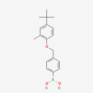 molecular formula C18H23BO3 B1284302 4-[(4-tert-Butyl-2-methylphenoxy)methyl]phenylboronic acid CAS No. 1072951-67-7