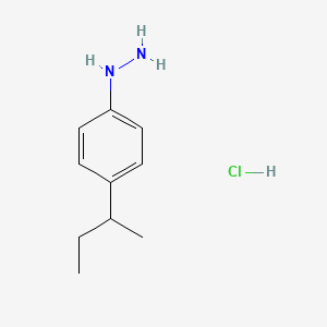 molecular formula C10H17ClN2 B1284373 1-(4-Sec-butylphenyl)hydrazine hydrochloride CAS No. 1049748-81-3