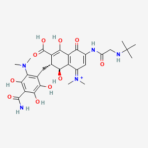 molecular formula C29H38N5O10+ B12843797 [(7R,8S)-3-[[2-(tert-butylamino)acetyl]amino]-7-[[4-carbamoyl-2-(dimethylamino)-3,5,6-trihydroxyphenyl]methyl]-6-carboxy-5,8-dihydroxy-4-oxo-7,8-dihydronaphthalen-1-ylidene]-dimethylazanium 