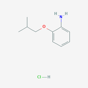 molecular formula C10H16ClNO B1284395 (2-Isobutoxyphenyl)amine hydrochloride CAS No. 124769-90-0