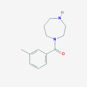 molecular formula C13H18N2O B1284579 1-(3-甲基苯甲酰)-1,4-二氮杂环戊烷 CAS No. 815650-83-0