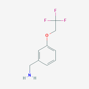molecular formula C9H10F3NO B1284615 [3-(2,2,2-Trifluoroethoxy)phenyl]methanamine CAS No. 903630-07-9