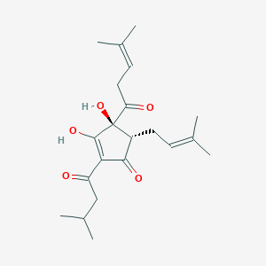 trans-Isohumulone