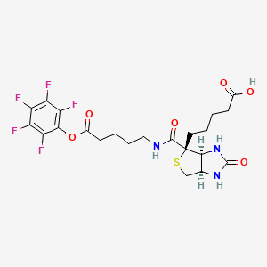 Pentafluorophenyl Biotinamidopentanoate