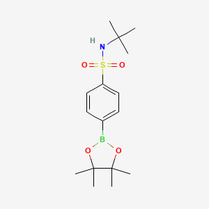4-(tert-Butylamino)sulfonylphenylboronic acid pinacol ester